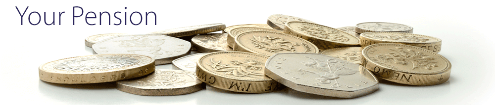 The Pension Administrator